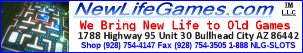 New Life Games LLC