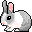 :bunny3: